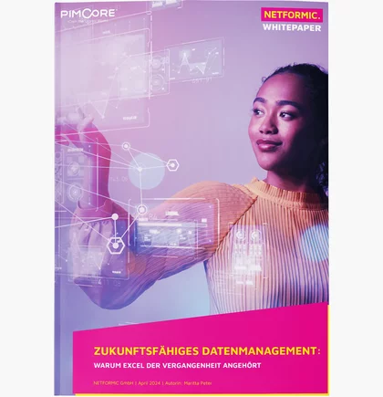 Abbildung Cover NETFORMIC Whitepaper zukunftsfähiges Datenmanagement