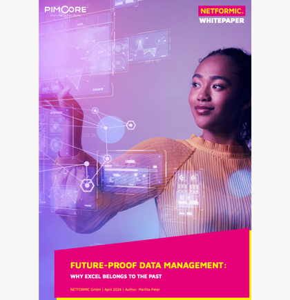 Depiction of a Cover NETFORMIC Whitepaper Future-proof Datamanagement