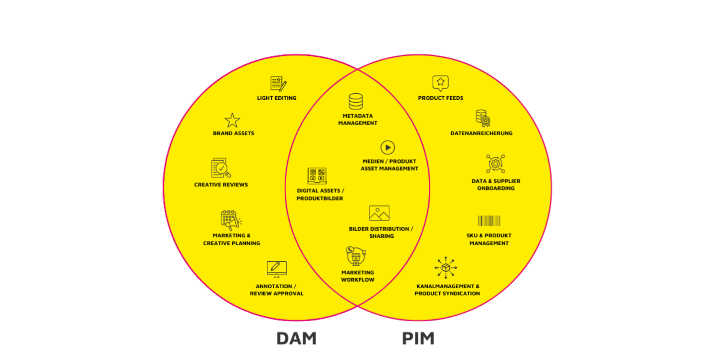 Abbildung der PIM Leistungsbereiche und DAM Leistungsbereiche, mit den Schnittmengen von PIM und DAM Leistungen, wie z.B. Metadata Management